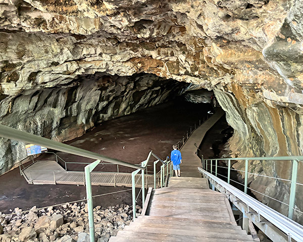 Accessible Undara Lava Tube Tours