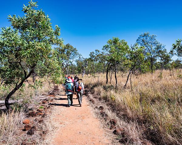 Undara Lava Tube Tours